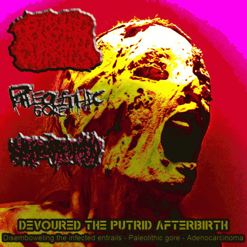 Paleolithic Gore : Devoured the Putrid Afterbirth